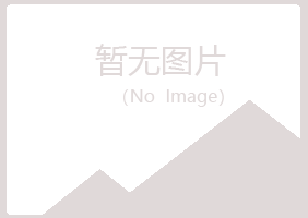 榆林女孩会计有限公司